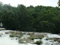 Ken-Betwa river link project to impact Panna Tiger Reserve: EAC