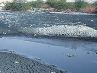 RS MP wants central team to visit Goa over river pollution