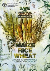 Save and grow in practice: maize, rice, wheat - a guide to sustainable cereal production