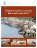 Water and fodder availability along livestock trade routes in the Horn of Africa