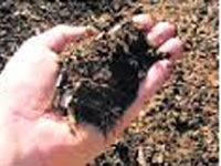 Only 2% farmers have soil health card