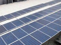 Punjab Naatshala adopts clean energy, promotes solar power