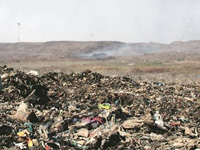 Have plan for municipal waste disposal: NGT
