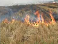 Now, burning agricultural residue in open to attract fine