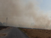Farmers shun ban on stubble burning
