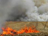 Vans to raise awareness about adverse effects of crop burning