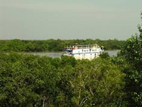 Demolish Sundarbans building: NGT to central ministry