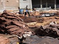 NGT decision on Kanpur tanneries hailed