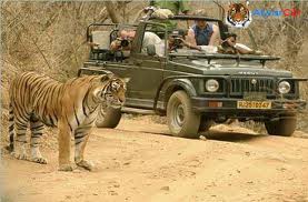 Supreme Court order on tourism in core tiger habitats dated 24/07/2012