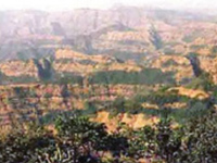 NGT Not Happy with Min’s Plan for Protecting Western Ghats