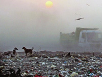 SOLID WASTE - No Technology for Peculiar Indian Conditions