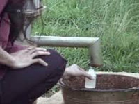 71% people drink impure water in MLA’s village: Survey