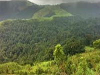 Western Ghats forest cover vital for Tamil Nadu’s South-West monsoon rainfall