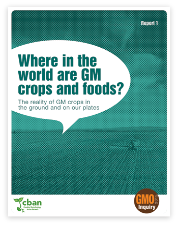 Where in the world are GM crops and foods?