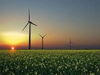 Wind tariff may nose down to Rs 4-4.5 per unit in 1-GW bids