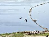 Unsewered areas in Yamuna clean-up plan, experts happy